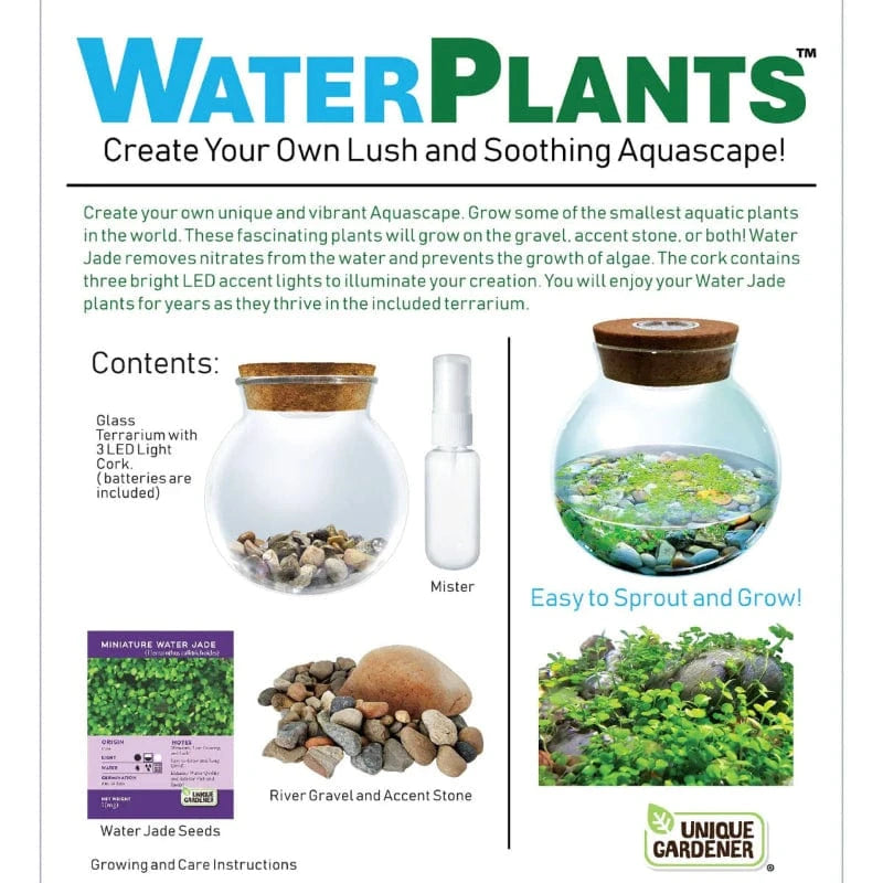 Silver Circle Plant Growing Kits HOLIDAY WaterPlants - Create Your Own Aquascape
