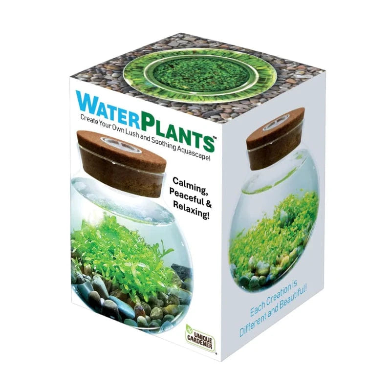 Silver Circle Plant Growing Kits HOLIDAY WaterPlants - Create Your Own Aquascape