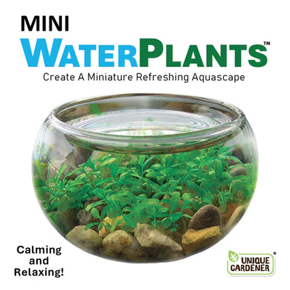 Silver Circle Plant Growing Kits Mini Water Plants Aquascape (UPC Needed)