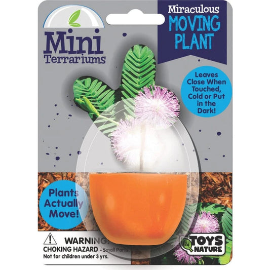 Silver Circle Plant Growing Kits Miraculous Moving Plant Mini Terrarium