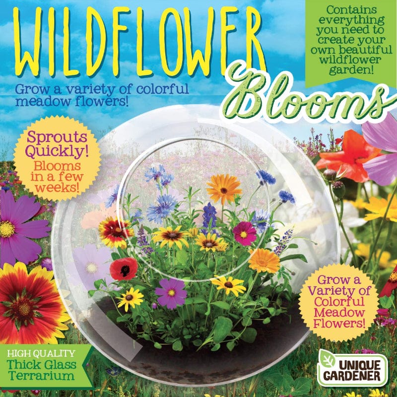 Silver Circle Plant Growing Kits Wildflowers Bloom Glass Terrarium Grow Kit