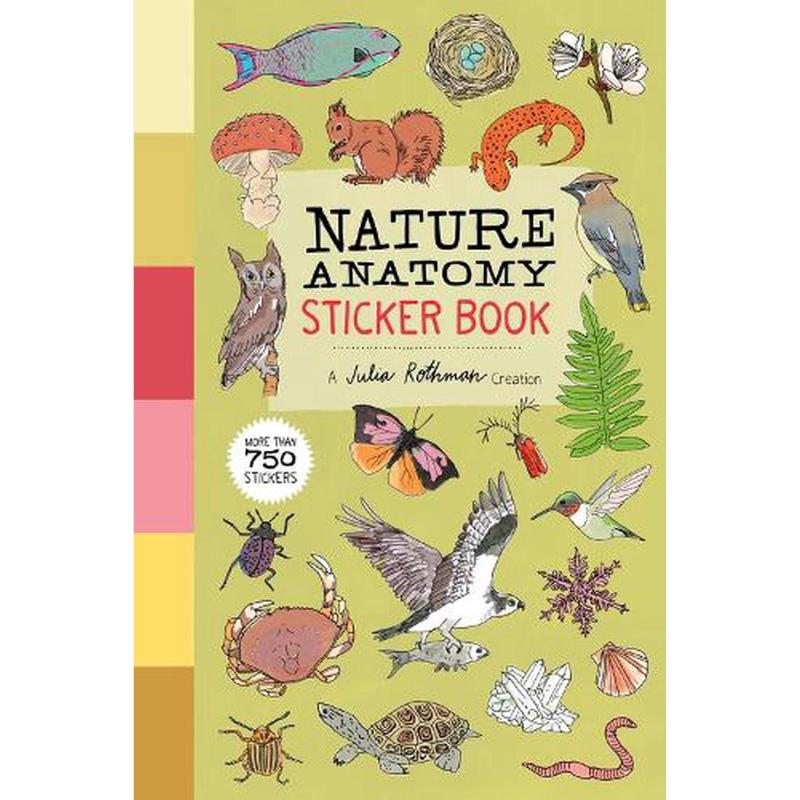 Storey Books Sticker Books Default Nature Anatomy Sticker Book