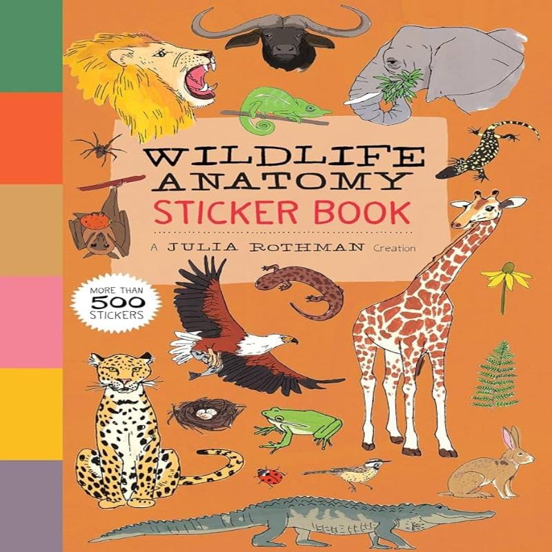 Storey Books Sticker Books Default Wildlife Anatomy Sticker Book