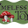 logo of Timeless Toys Chicago