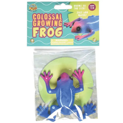 US Toy Co. Gift Colossal Growing Frog (Assorted Colors)